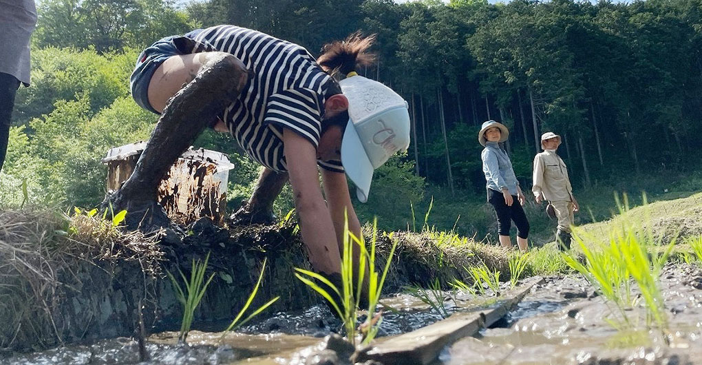 附贈新米！親子里山體驗遊戲～插秧～