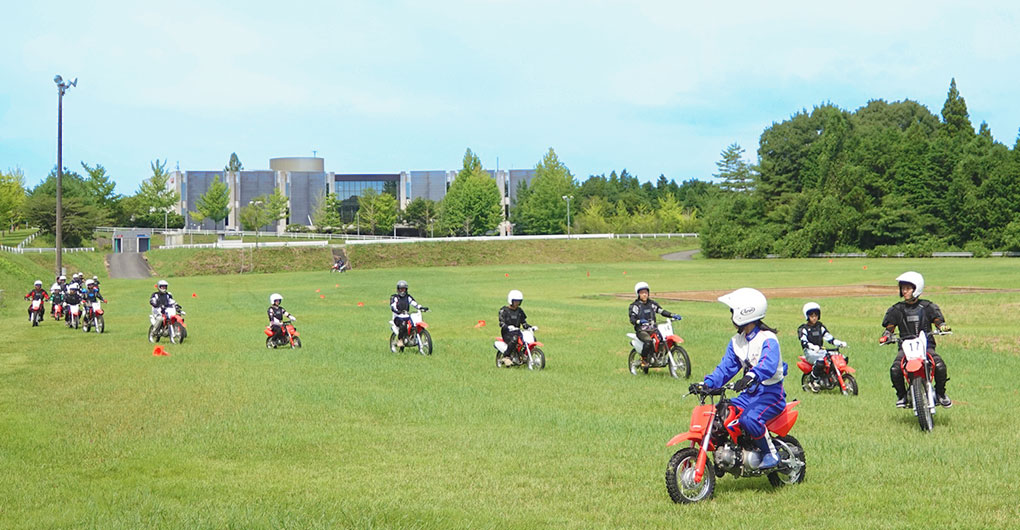 夏季的小頭目森林營地
