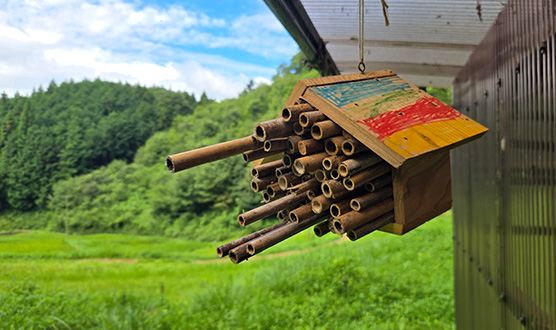 親子山林體驗遊戲