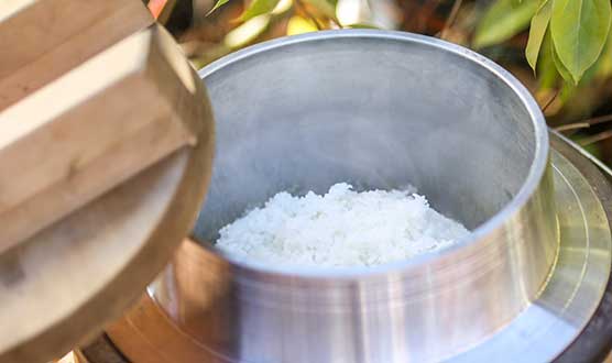 尋找生物家庭露營～螢火蟲觀賞與初夏生物篇～