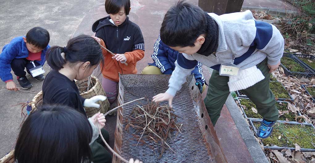 橡果森林 頑皮探險隊