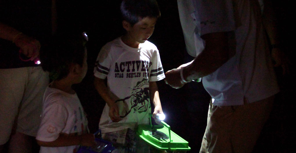 【僅限住宿者】夜間昆蟲採集之旅