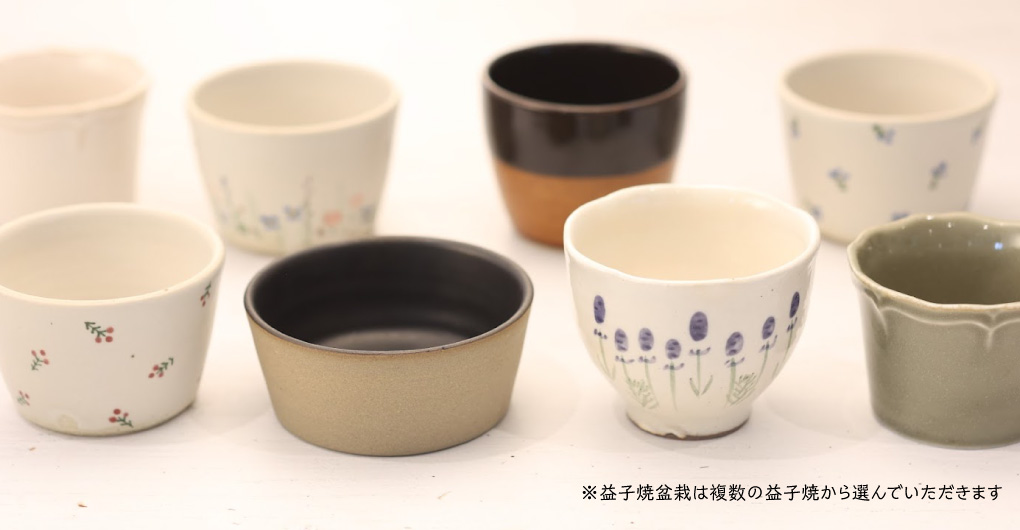使用Hello Woods素材的手作體驗