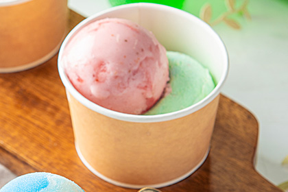 森林中的義大利冰淇淋店 ROCCO的義大利冰淇淋由單球升級為雙球！免費雙球升級券