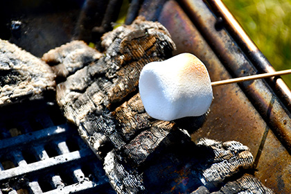 溫暖關鍵字尋寶 with meito