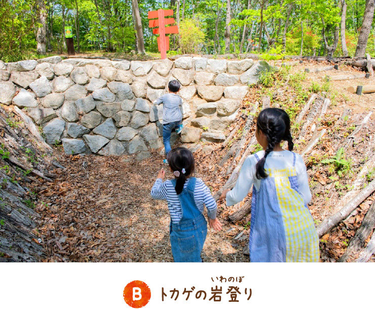 蜥蜴攀岩