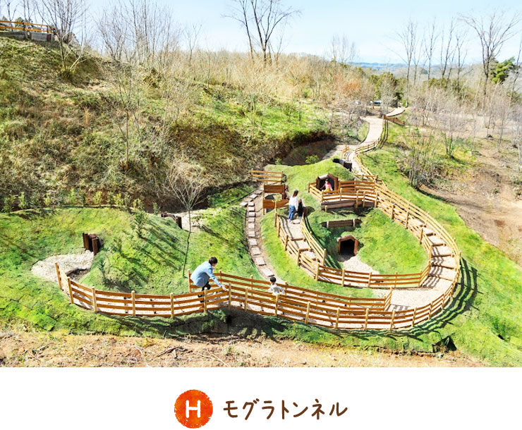 鼴鼠隧道