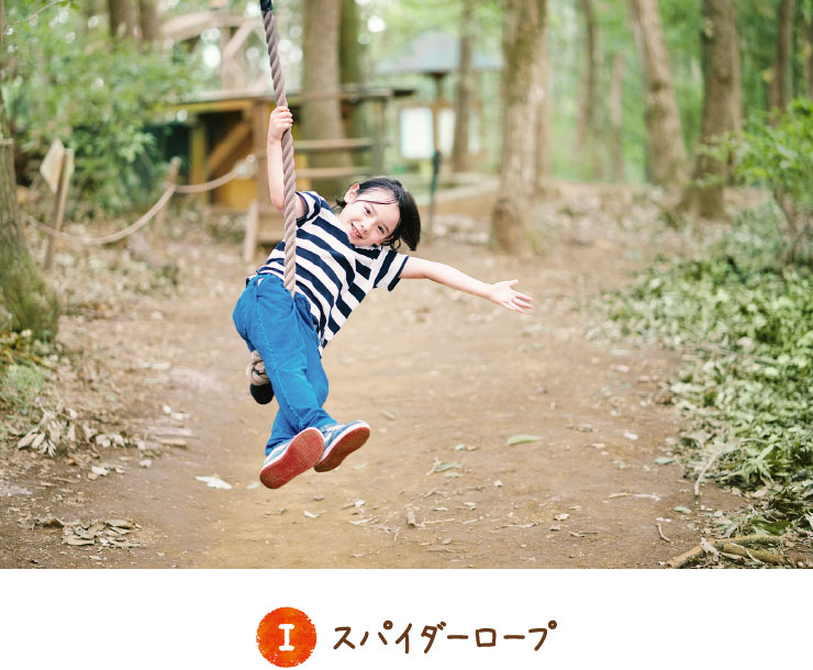 蜘蛛網