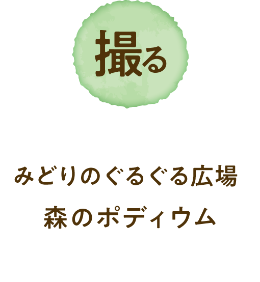 拍攝
