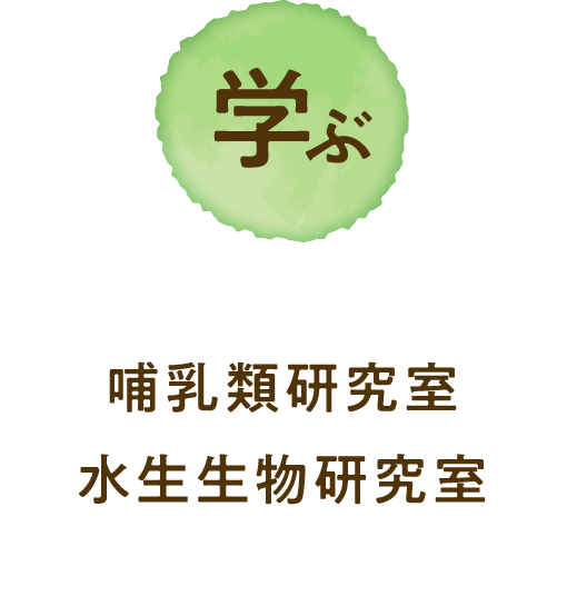 學習