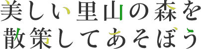 漫步美麗的鄉村森林，盡情玩樂吧